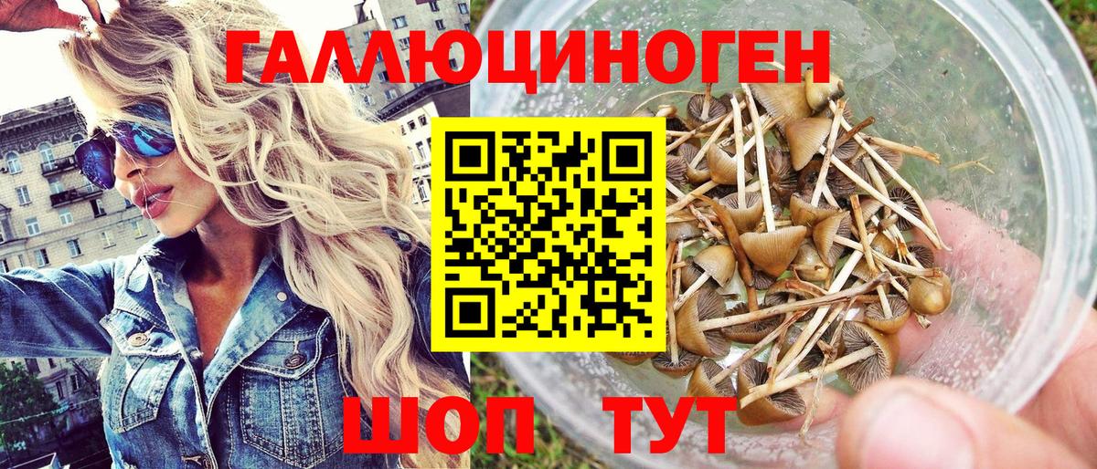 Псилоцибиновые грибы Cubensis  Галлюциногенные грибы прущие грибы  Дзержинск  Вход с VPN 